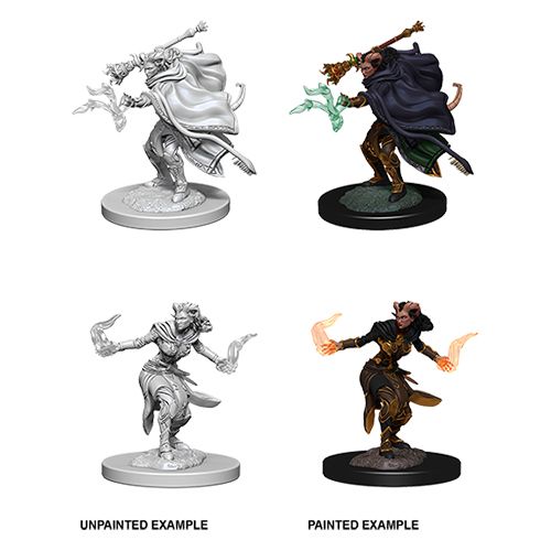 Nolzurs Marvelous Miniatures - Tiefling Warlock Female